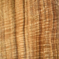 Laurel veneer